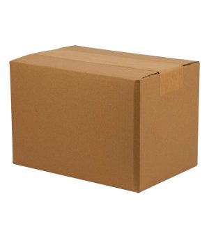 Caixa de Papelão Maleta 30X20X20